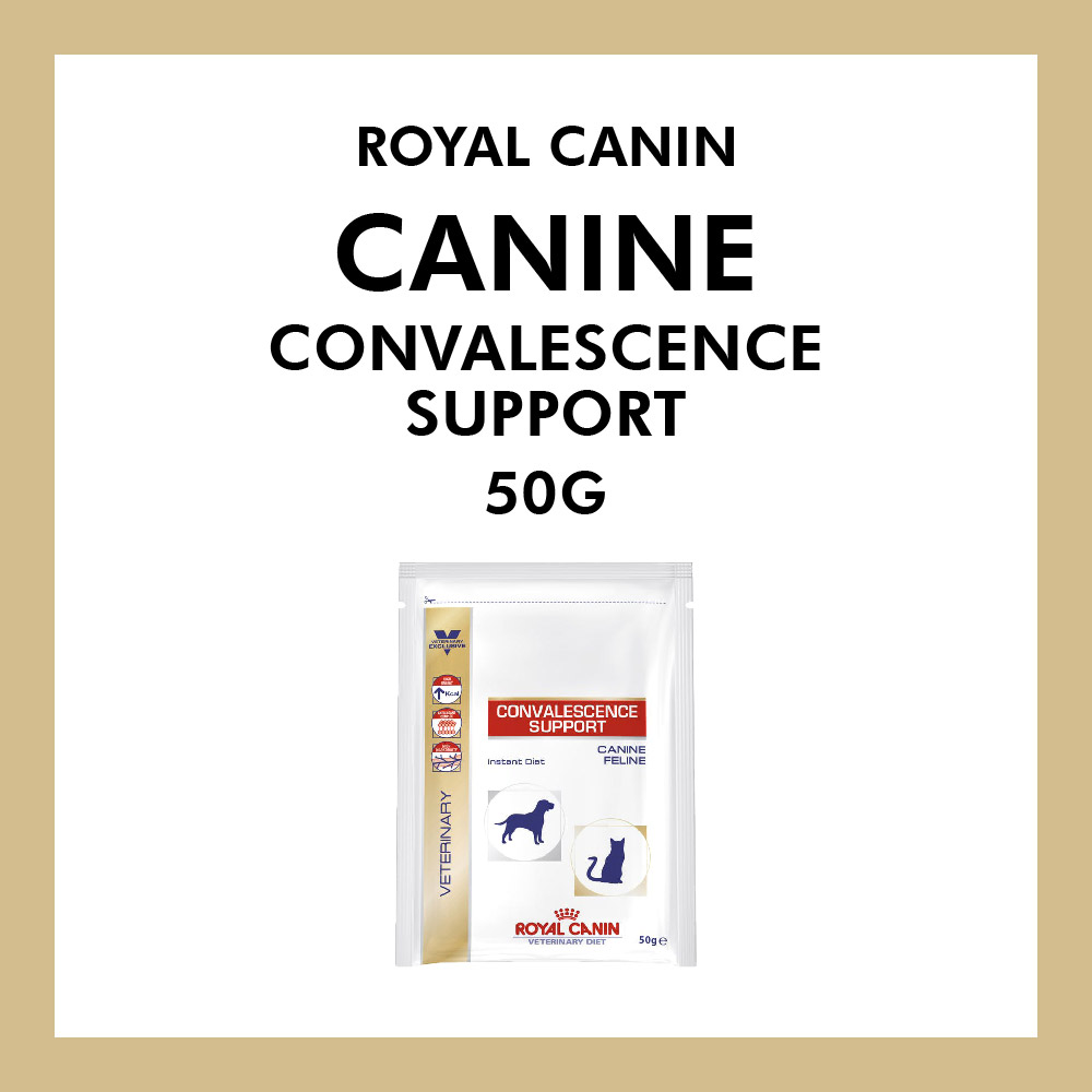 royal canin convalescence support feline